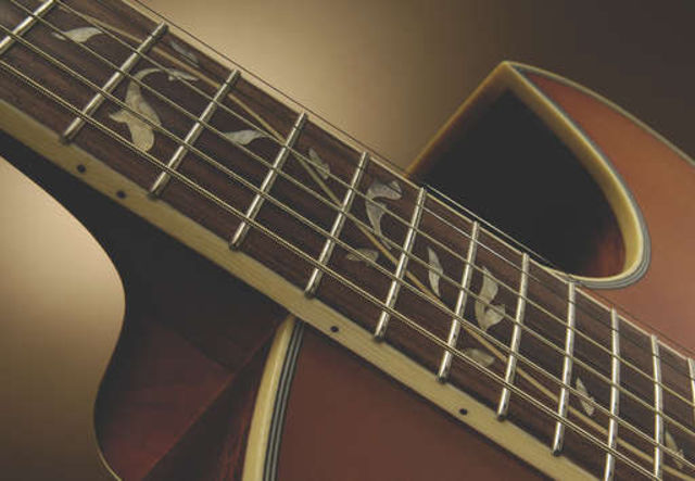 Ibanez EP9 Euphoria The EP9 features Steve Vai's trademark 'Tree Of Life' fretboard inlay, albeit more subtly than on his other signatures